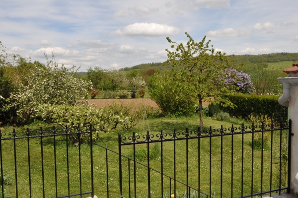 une vue du jardin depuis la terrasse